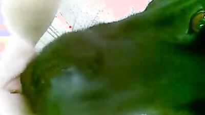 Teen dog sex: animal sex porno zoo dogs anal