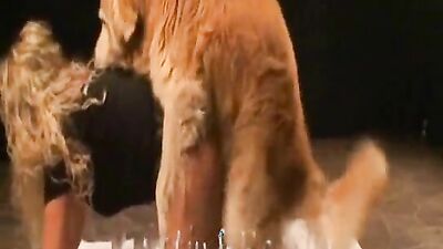 3d zoo porn: dog porn 3d vk