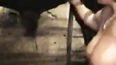Bestiality horse: zoo porn telegram