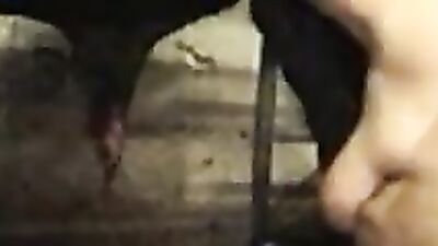 Bestiality horse: zoo porn telegram