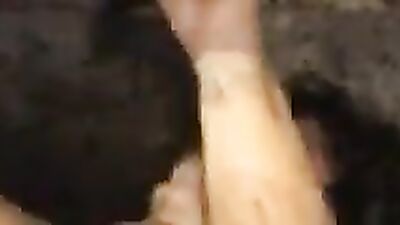 Bestiality horse: zoo porn telegram