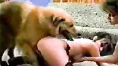 Animal zoo sex: bestiality breed
