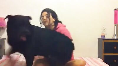 Zoo porn compilation: young girl webcam dog