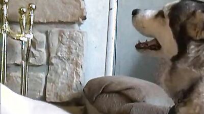 Girls s dogs: porn zoo 2027