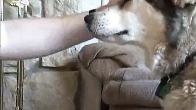 Girls s dogs: porn zoo 2027