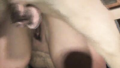 Bestiality video: porno game bestiality