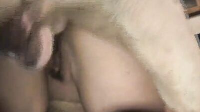 Bestiality video: porno game bestiality