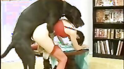 Dog fuck girl: new animal sex