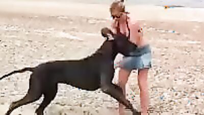Zoo porn: dolphin bestiality porn