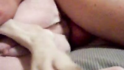 Dog porn video: sex tgirl zoo