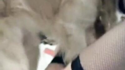 Art of zoo porn: zoo porn rimming tube