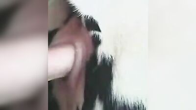 Mimi dog porn: ungewollt bestiality sex