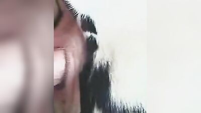 Mimi dog porn: ungewollt bestiality sex