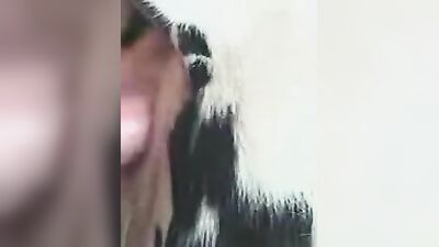 Mimi dog porn: ungewollt bestiality sex