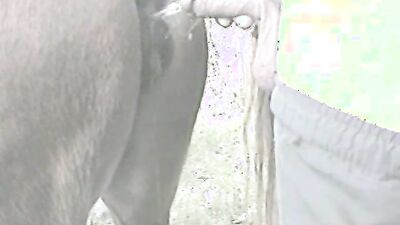 Dog lick girl: homemade bestiality wife real