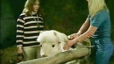Dog fuck girl: sex with animal video hd