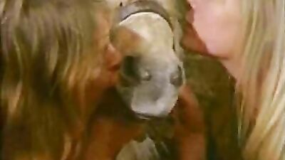 Dog fuck girl: sex with animal video hd