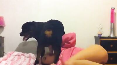 Bestiality sex: zoo dog xxx girls