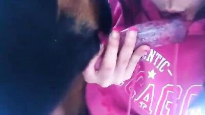 Bestiality sex: zoo dog xxx girls