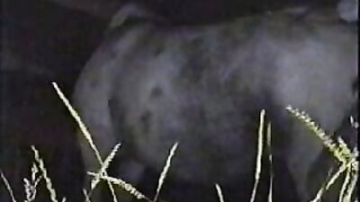 Women's dog sex: zoo porn sonya
