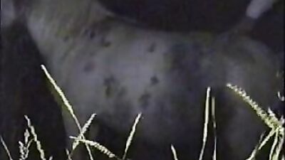 Women's dog sex: zoo porn sonya