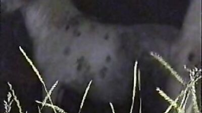 Women's dog sex: zoo porn sonya