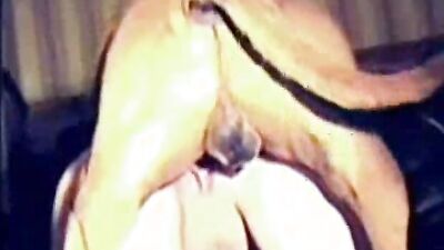 2 dog girl: porno 2026 hd animal
