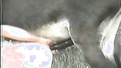 Fucking dogging porn: sex dogs monster