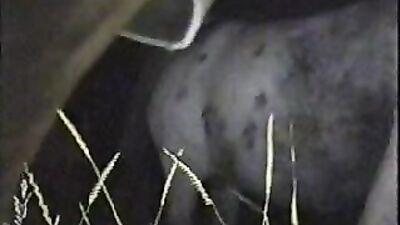 Dog porn: sex mona dog fuck porn