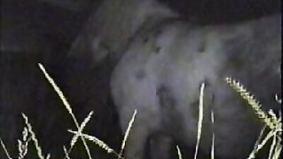 Dog porn: sex mona dog fuck porn