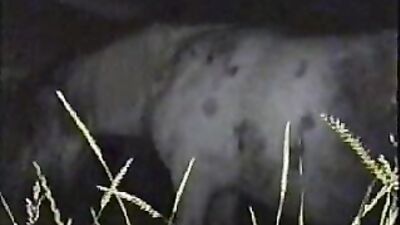Dog porn: sex mona dog fuck porn