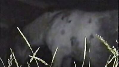 Dog porn: sex mona dog fuck porn