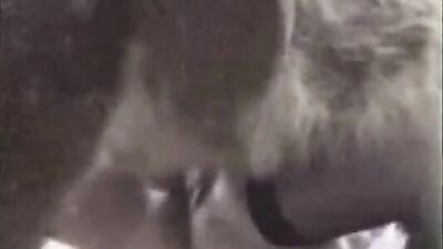 Teen zoo porn: dog x cat porn