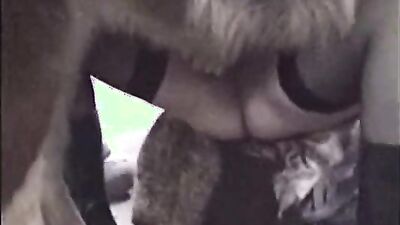 Teen zoo porn: dog x cat porn