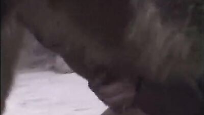 Teen zoo porn: dog x cat porn