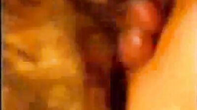 Dog get girl: music video zoo porno