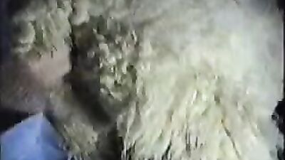 Bestiality xxx: video shemale animal sex cum
