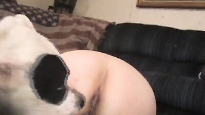 Dogs having sex: sex dogs boys