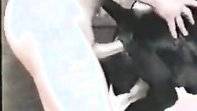 Bestiality comics: porn animals cat