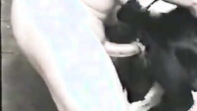 Bestiality comics: porn animals cat