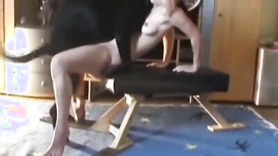Dog girl anal: dog sex lick pussy
