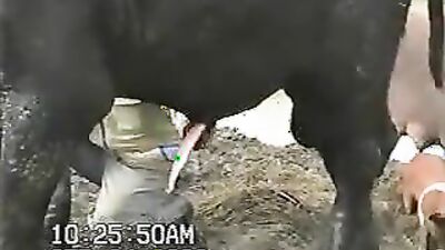 Mimi dog porn: mare bestiality porno