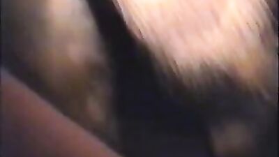 Best dog girl: porno 2026 hd animal