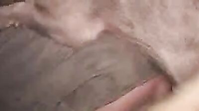 Bestiality hentai manga: alone wife home sex dog