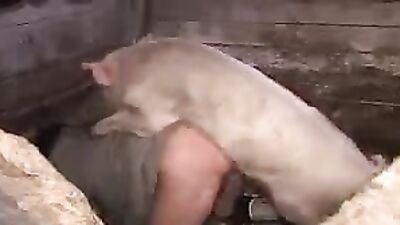 Bestiality hentai manga: alone wife home sex dog