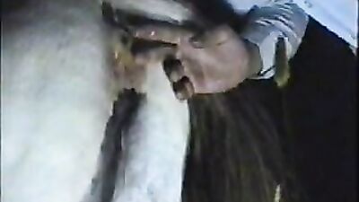 Bestiality video: russian bestiality videos