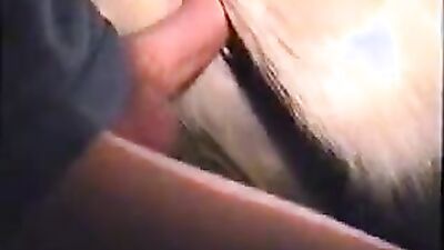 Art of zoo porno: 3 dog sex