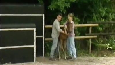 Dog girl: www porno animal com