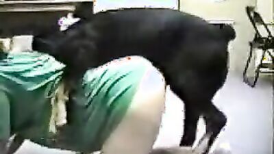 Dog sex porno: tf dog girl