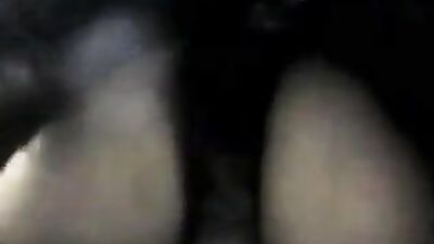 Dog sex porno: tf dog girl